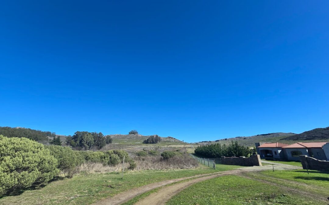 Los Pioneros y Calihue (Zona Banco Provincia)